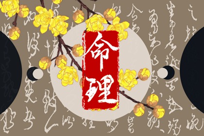 本命盘入口|查看紫薇星斗命盘|命盘详细解释|八字本命盘|紫微合盘配对免费