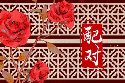 纳音配对：比和、相生与平衡